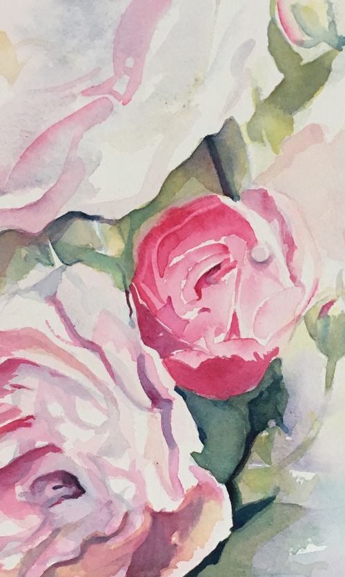 Rose Garden by Sarah Stowe