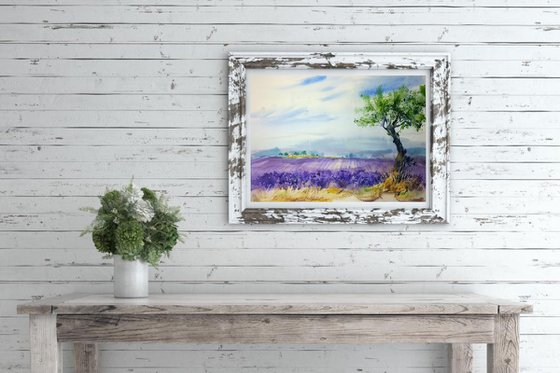 Landscape  in Provence. Lavender fields #1