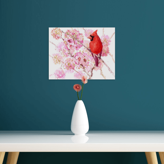 cardinal bird in spring