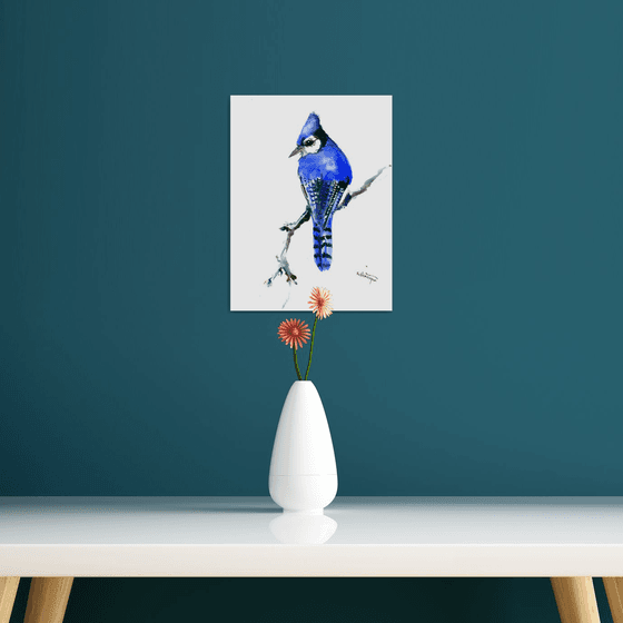 Blue Jay