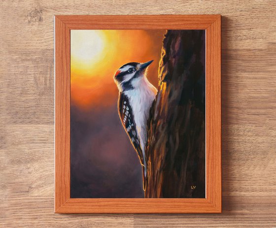 Downy woodpecker bird on a trunk
