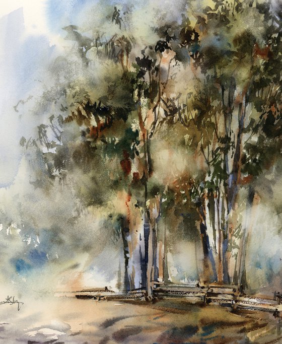 Landscape with Eucalyptus Trees