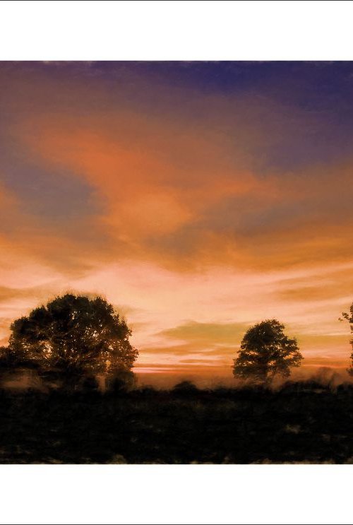 Sunset over Trees by Martin  Fry