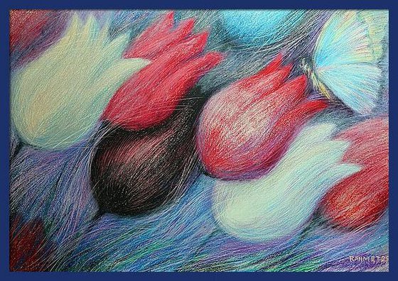 Tulips and Butterfly