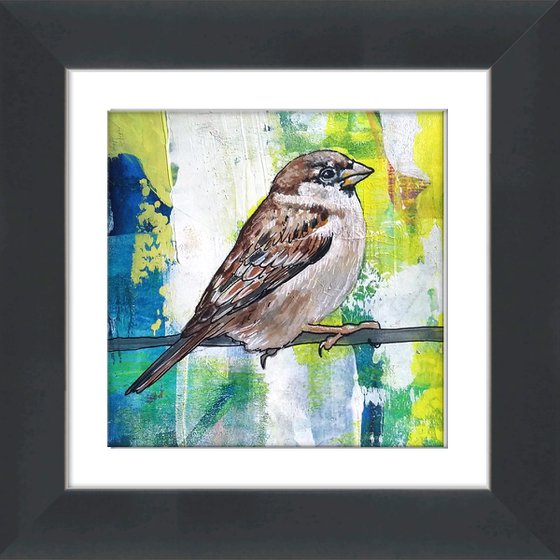 Mr Sparrow - framed and ready to hang