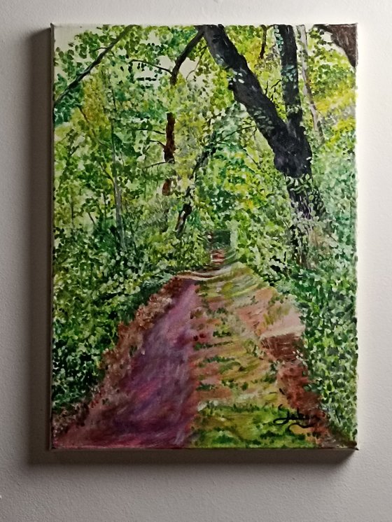Path in the forest