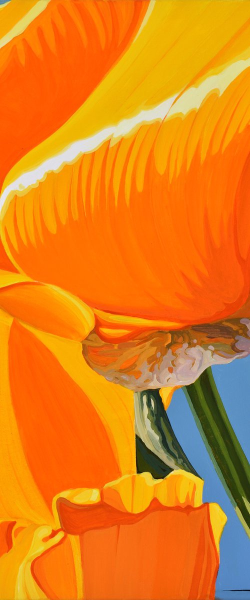 Californian Poppy and Wind #8 by Alex Nizovsky