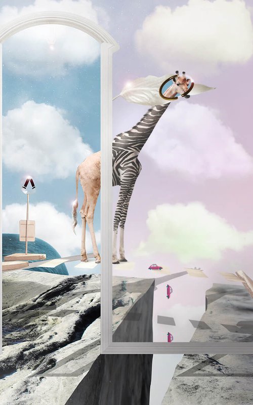 Zebra Crossing by Vanessa Stefanova