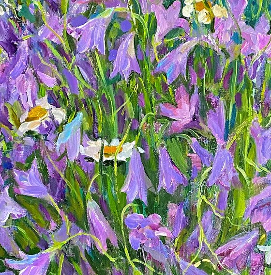 Mountain Meadow in Bloom