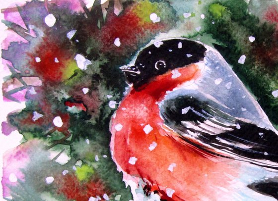 Bullfinch
