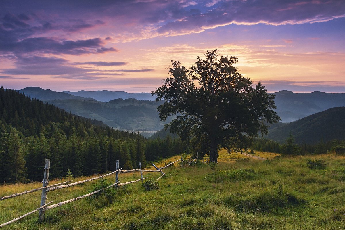 Photorealistic Landscape Photograph By Valerix, 24 X 16", Warm Summer Sunrise., Original Artwork