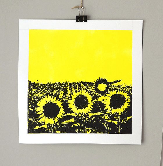 Yellow Sunflower Filed