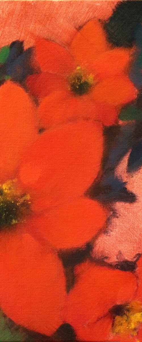 Laycock Dahlia by Nicholas Robertson