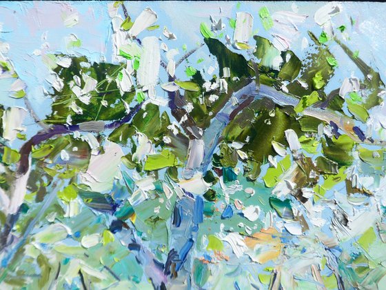 " Apple orchards"