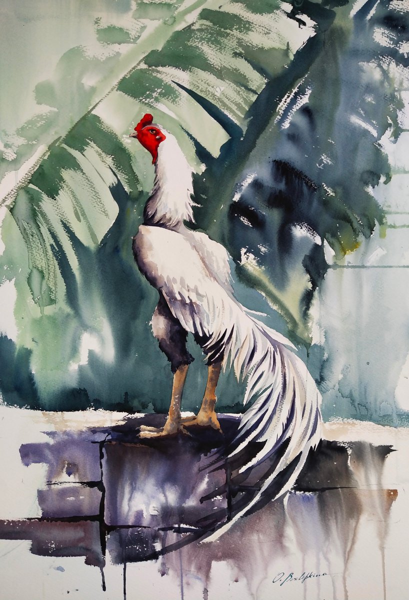 Freedom. White Rooster by Olga Bezlepkina
