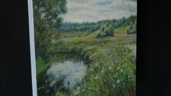 Floral Fields