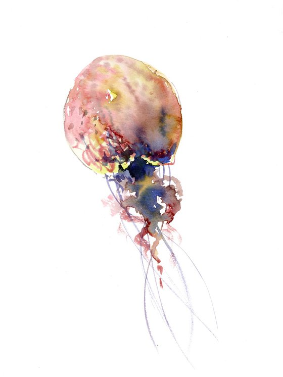 Jellyfish