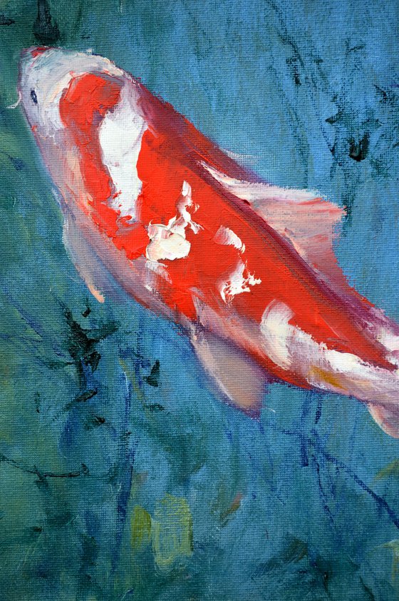 Red Koi carp