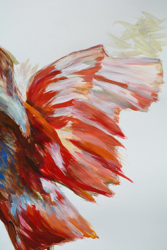 Fancy Ibis - bird painting
