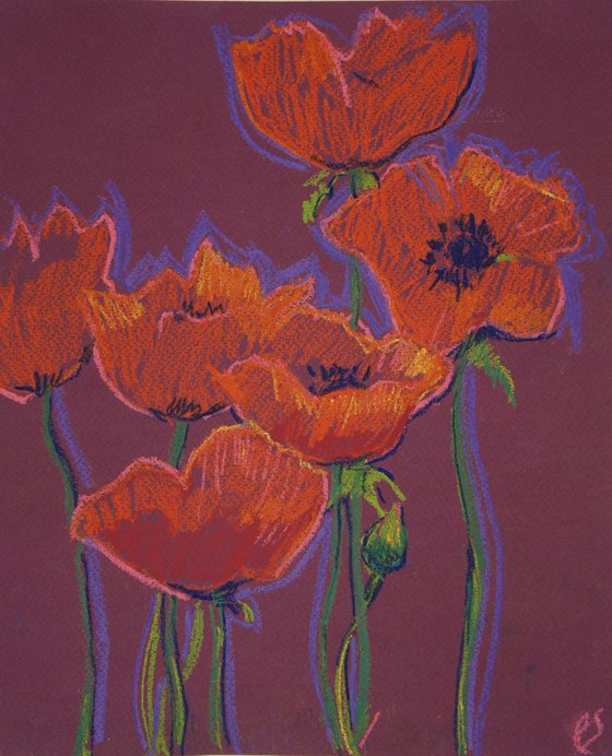 Red poppies