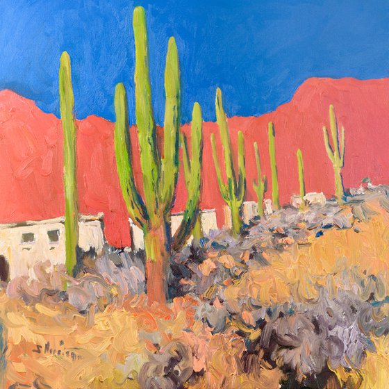 Desert Vibrance. Saguaros