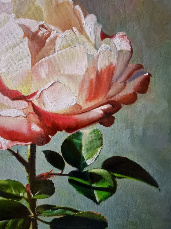 "Illuminated by the sun."  rose flower  liGHt original painting  GIFT (2021)