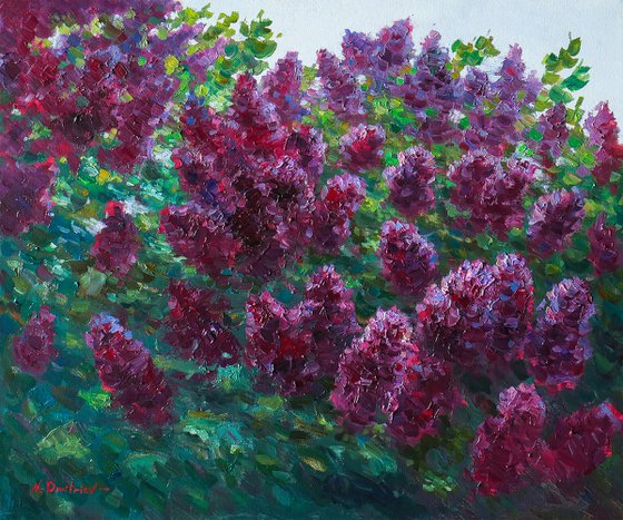 Branches Of Lilacs