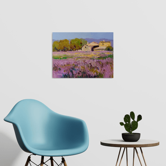 Lavender, French Village