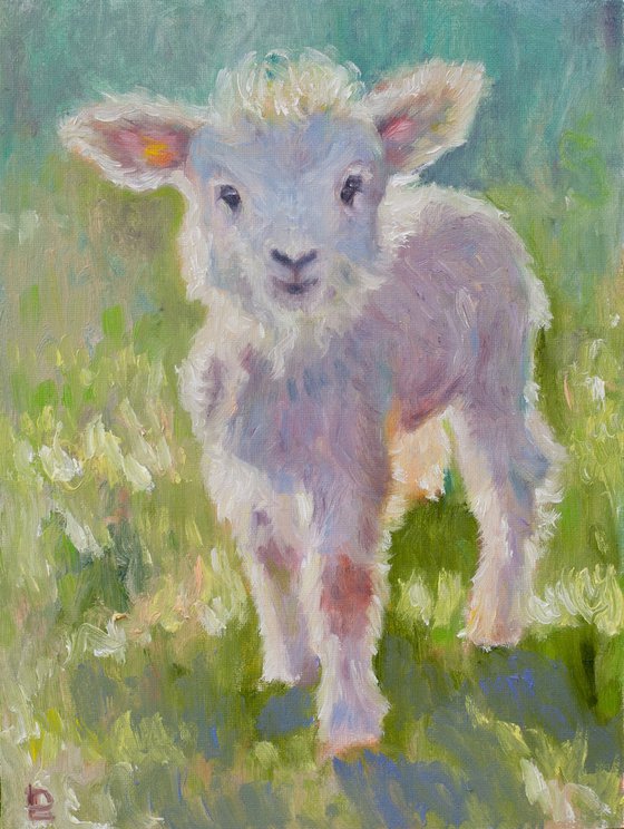 Little Lamb