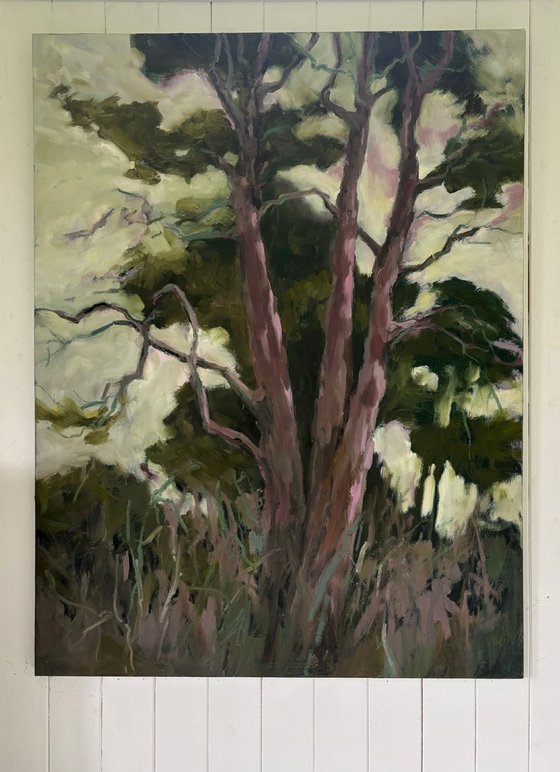 Tranquil Wood