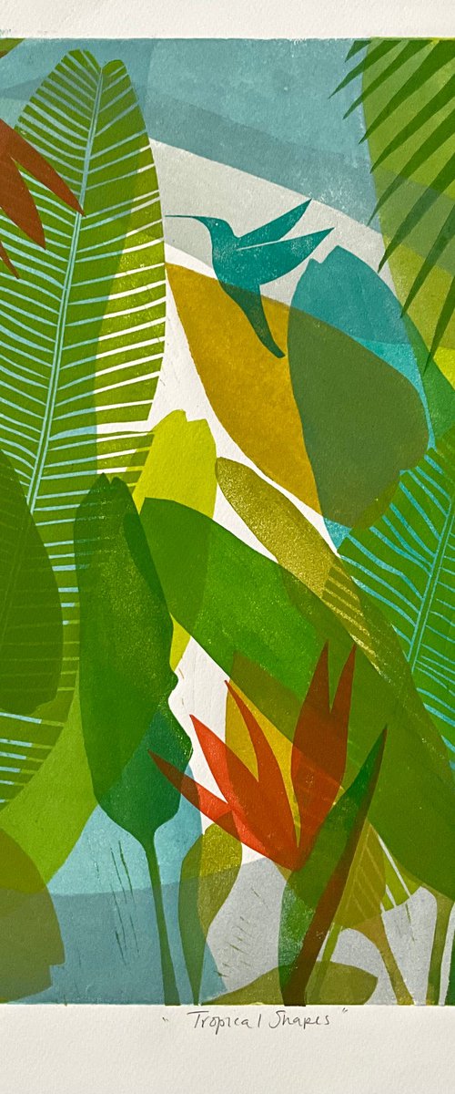 Tropical Shapes by Alison  Headley