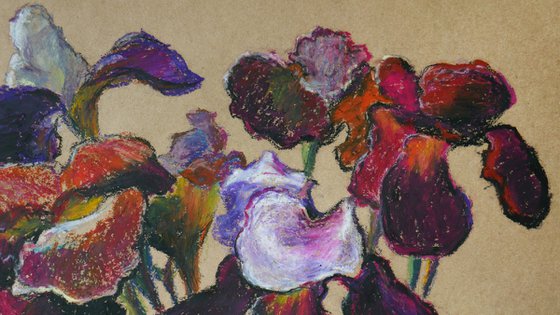 Iris Flowers 1