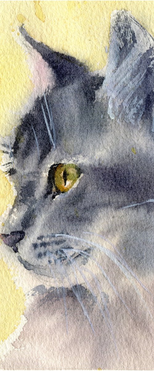 Cute gray cat face by SVITLANA LAGUTINA