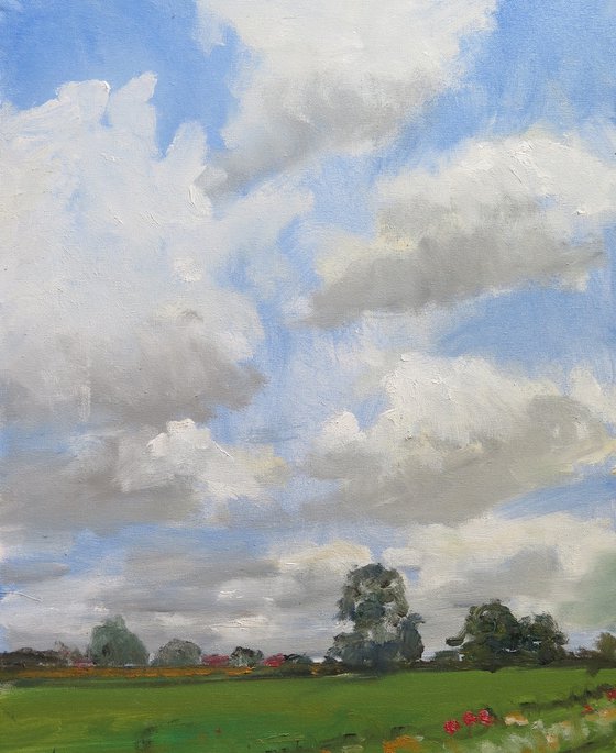 Midsummer Meadow