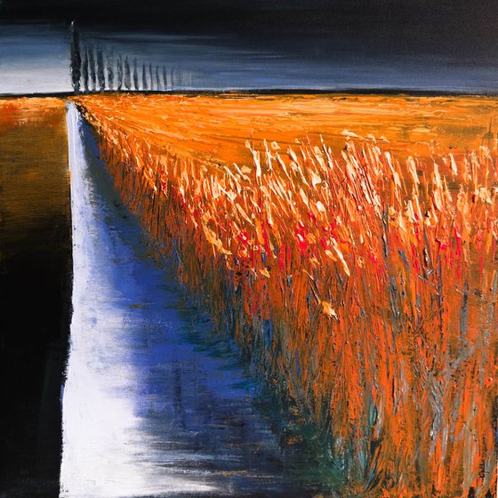 Some Perspectives  and the  Fields - Fields and Colors Series