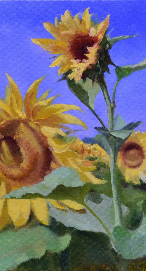 Sunflowers by Ruslan Kiprych