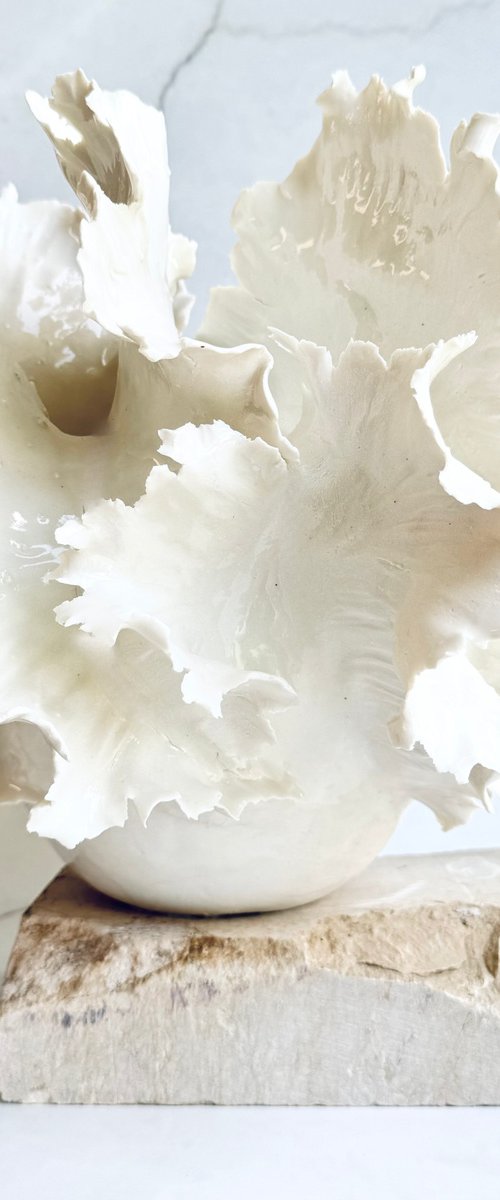 White Coral by ceramicABeli Alexandra Beliba