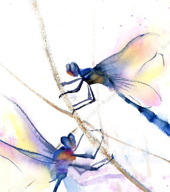 Dragonflies Diptych