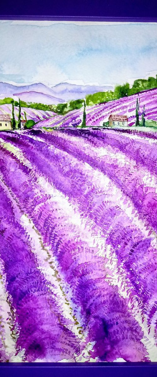 Lavender by Jelena Nova