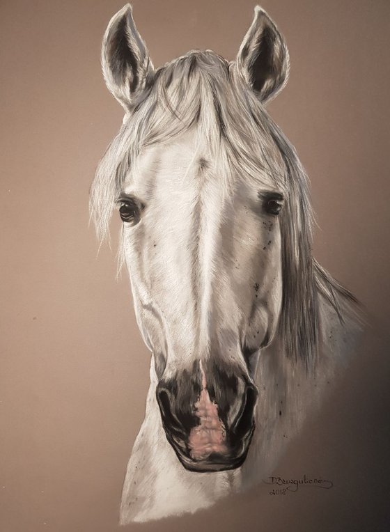 Pastel painting on Paper horse "White horse'' .