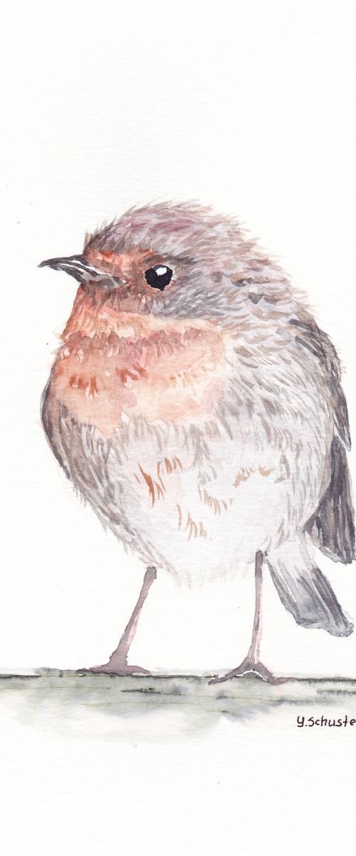 birds portrait by Yulia Schuster