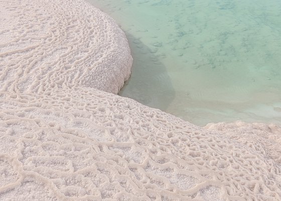 Dead Sea. Saltwater seashore