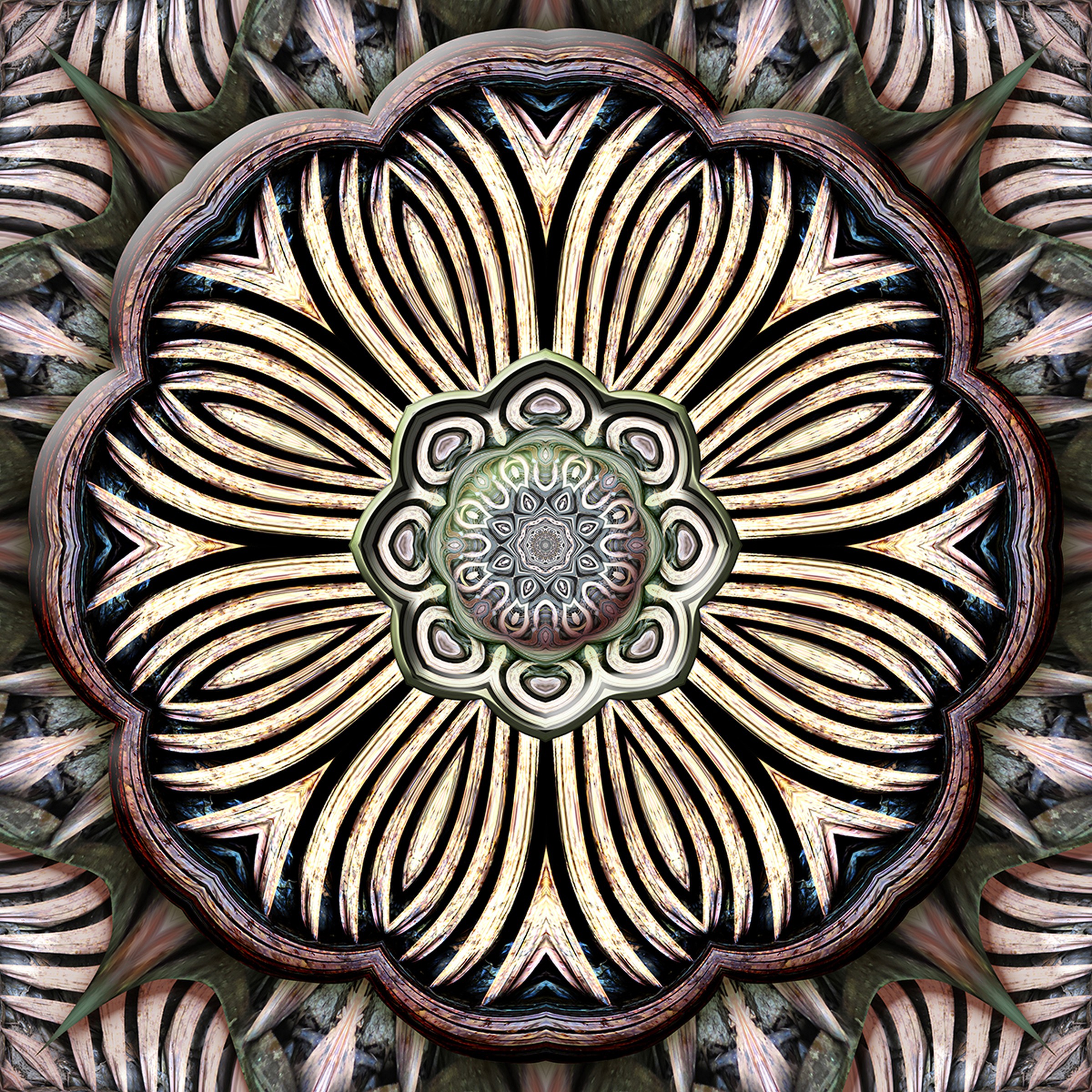 Fallen Frond Photograph By Karen Hochman Brown Artfinder