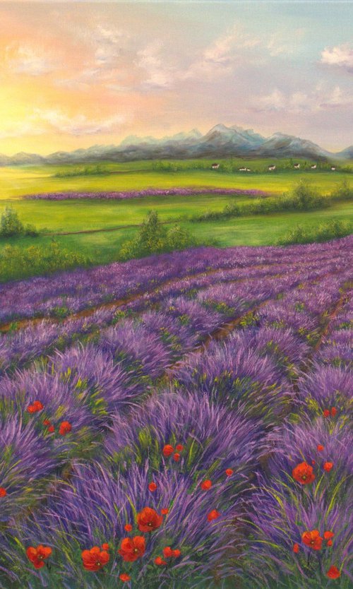 Lavender field by Ludmilla Ukrow
