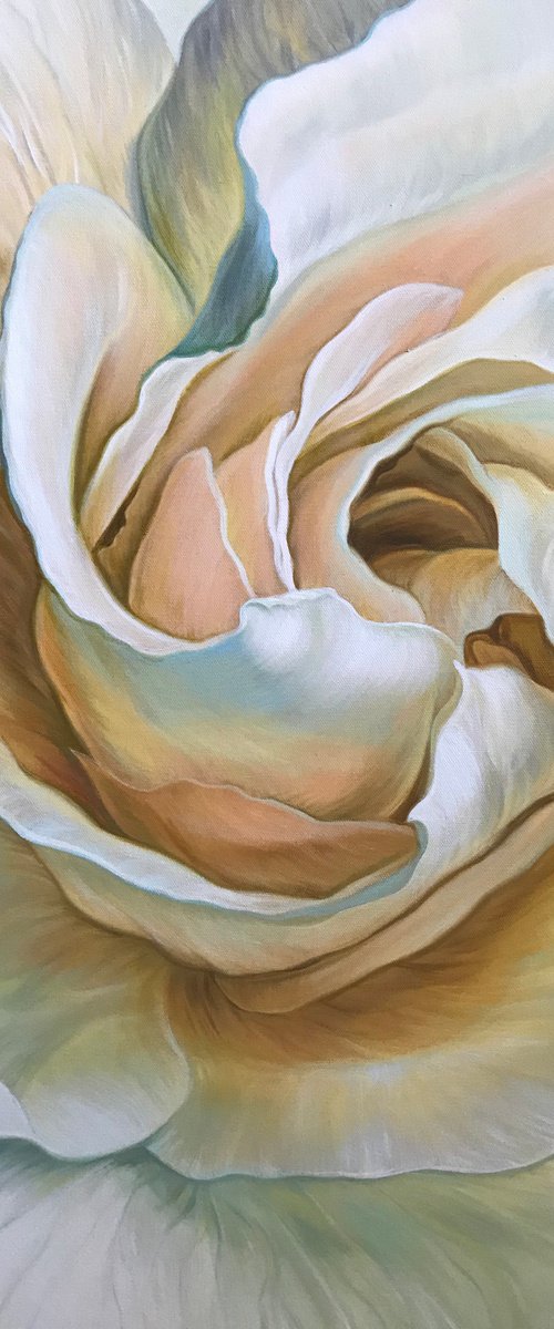 Blooming gardenia by Elena