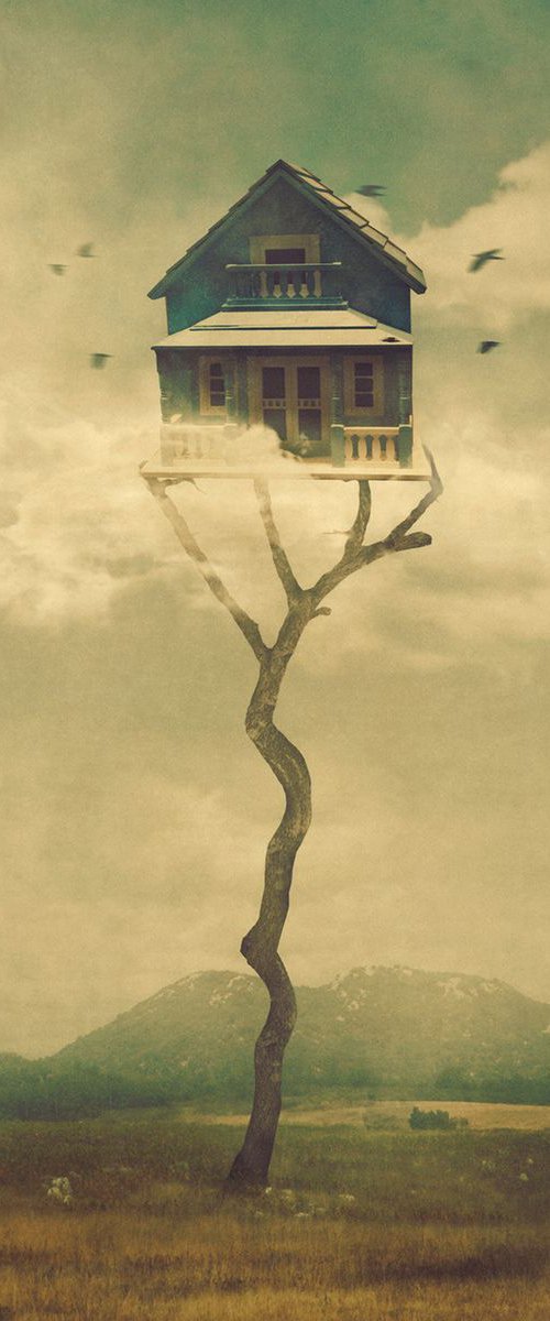 Bird House - limited edition of 5 by Nikolina Petolas