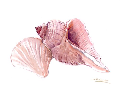 Seashell by Suren Nersisyan