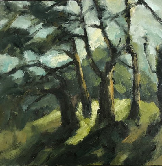 midwinter sun