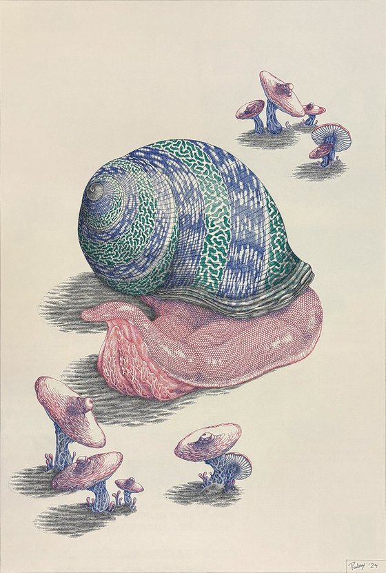 Gastropoda eroticum