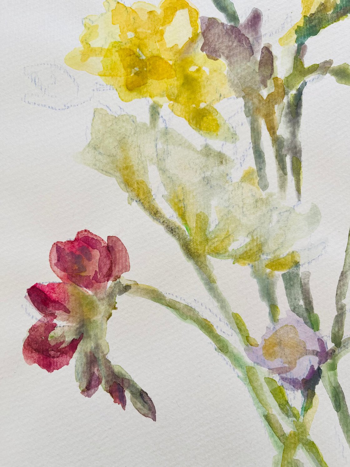 絵画 freesia  sizeF3 09cff1cd505543a0bdb4abb6aeb3dd